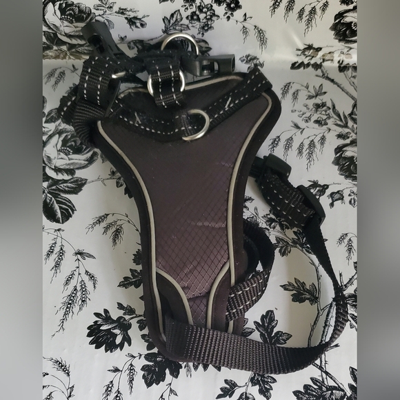 Dog Pack with small gold stained collar. - Picture 7 of 9